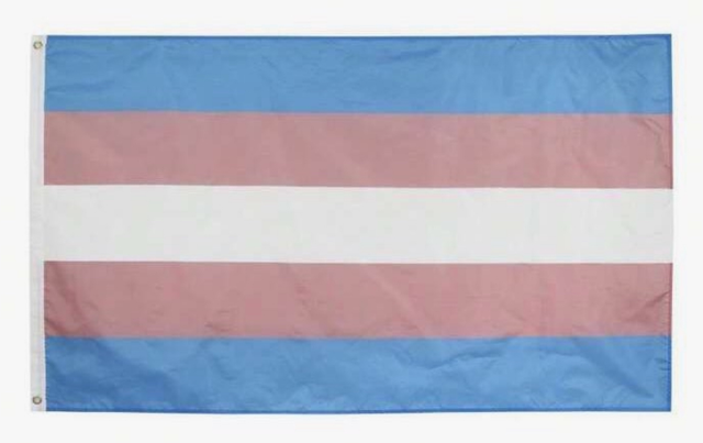 Trans flag 3ft x 5ft