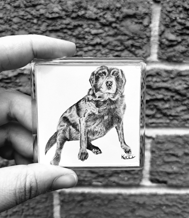 Black Labrador Magnet 