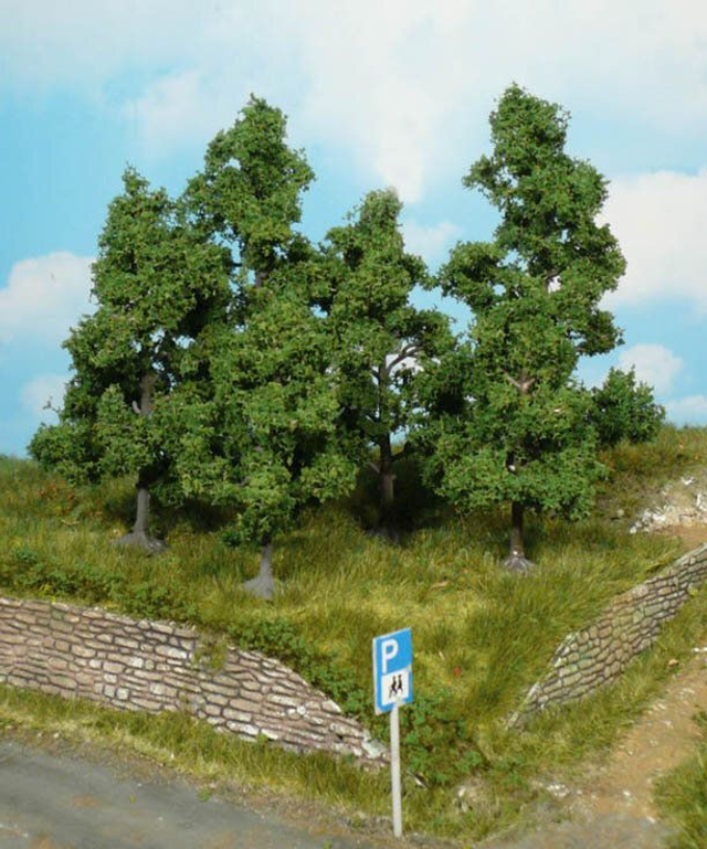 4 arbres fruitiers 9-11cm Héki 1931