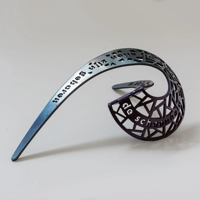 2017 Medal I Am Hidden In The Beauty From Which We Are All Born by Anneke Schollaardt