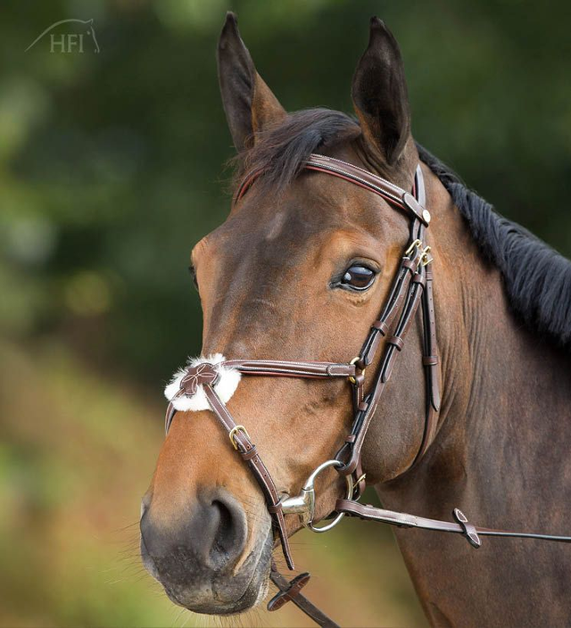 Bridon HFI Mexican muserolle croisée