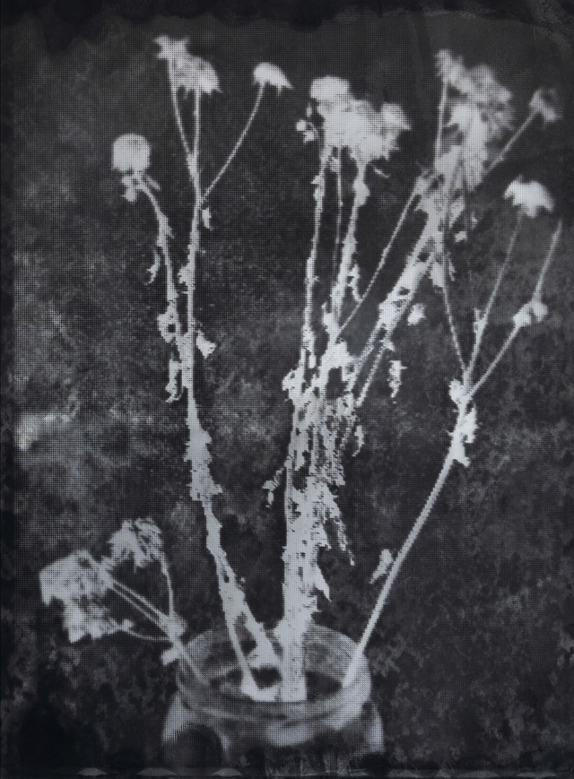 DANILO ESPINOZA GUERRA 