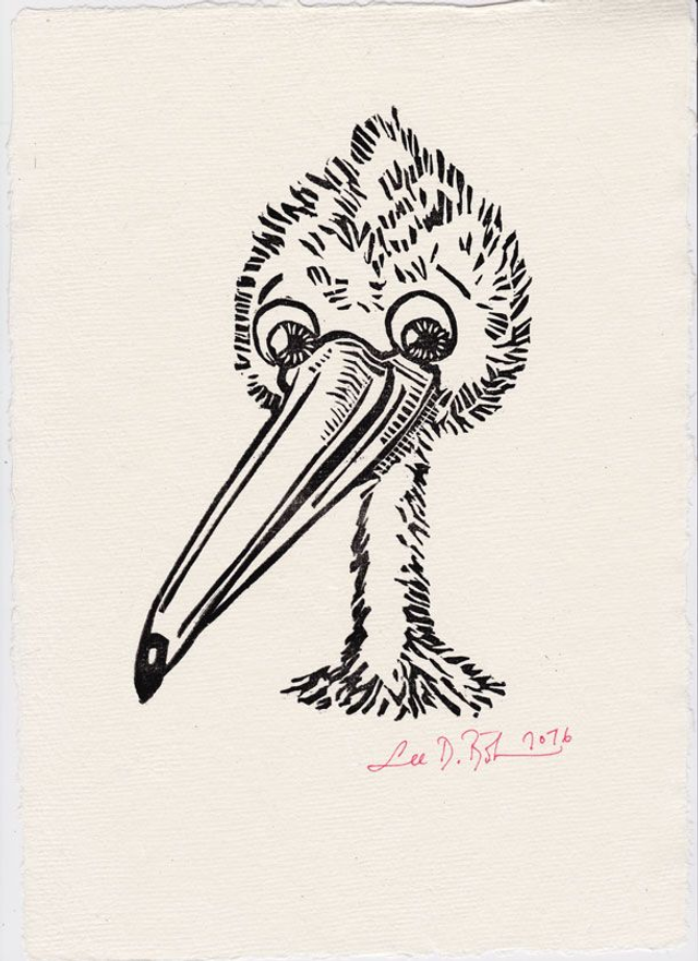 Linolschnitt "Schlauer Pelikan" / Linocut "Smart Pelican"