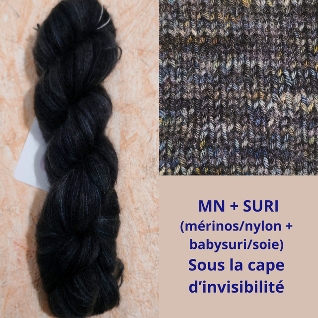 SURI Sous la cape d'invisibilité