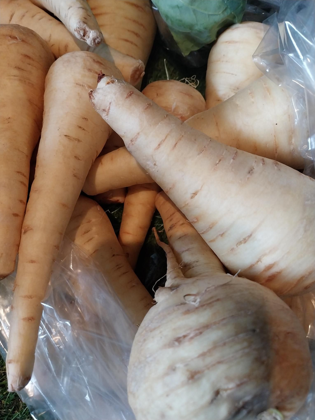 Parsnip (500g)