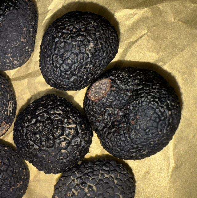 Truffes Noires Extra 100g