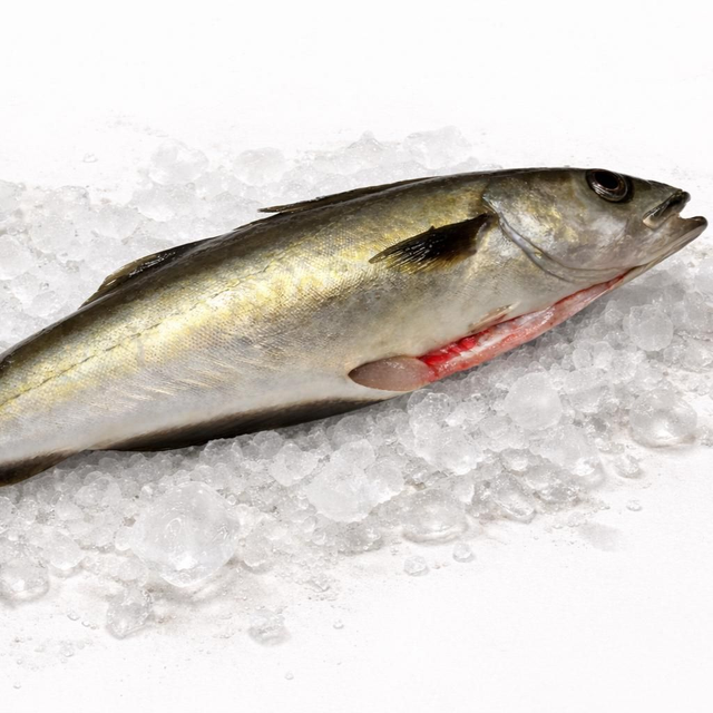 Lieu jaune de Bretagne vidé - Pièce de 2,5 kg (environ)