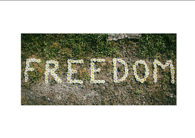 "Freedom"