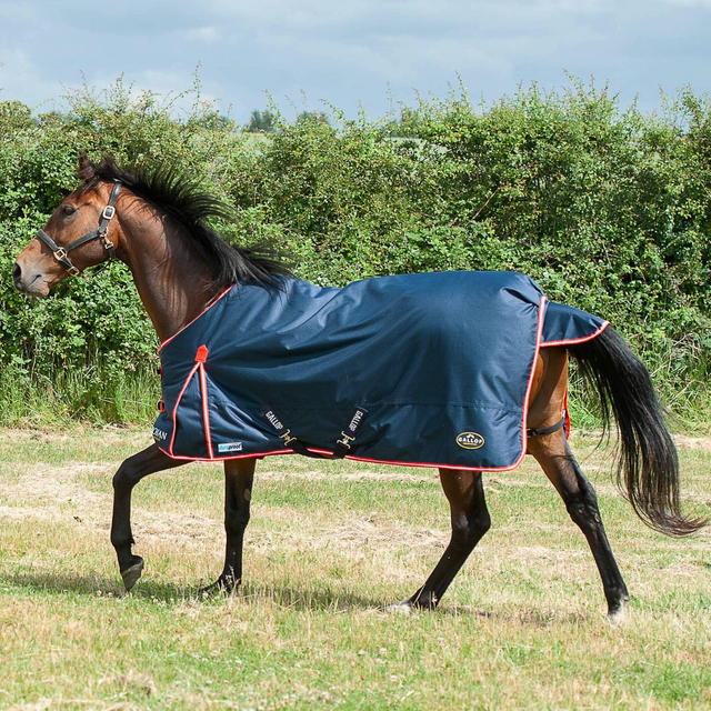 Gallop Trojan Duraproof 200g Turnout