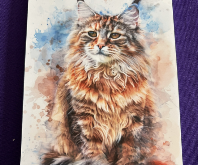 Plain Note Pad Cat (Maine Coon)