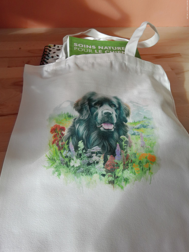 Sac - Tote bag Terre Neuve
