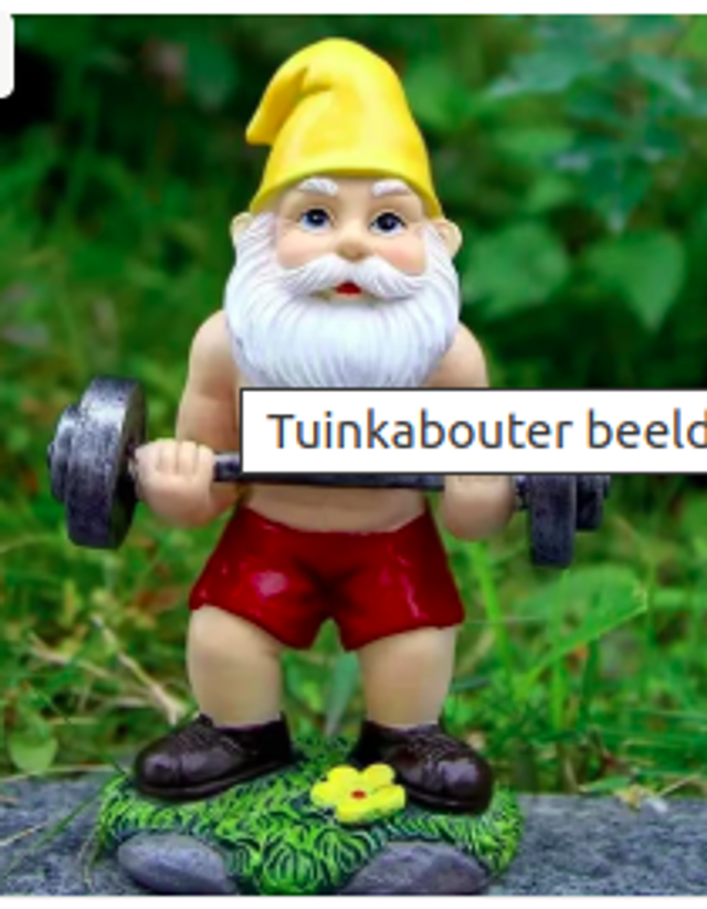 Tuinkabouter beeldje Gewichtheffer Kabouter (15cm)