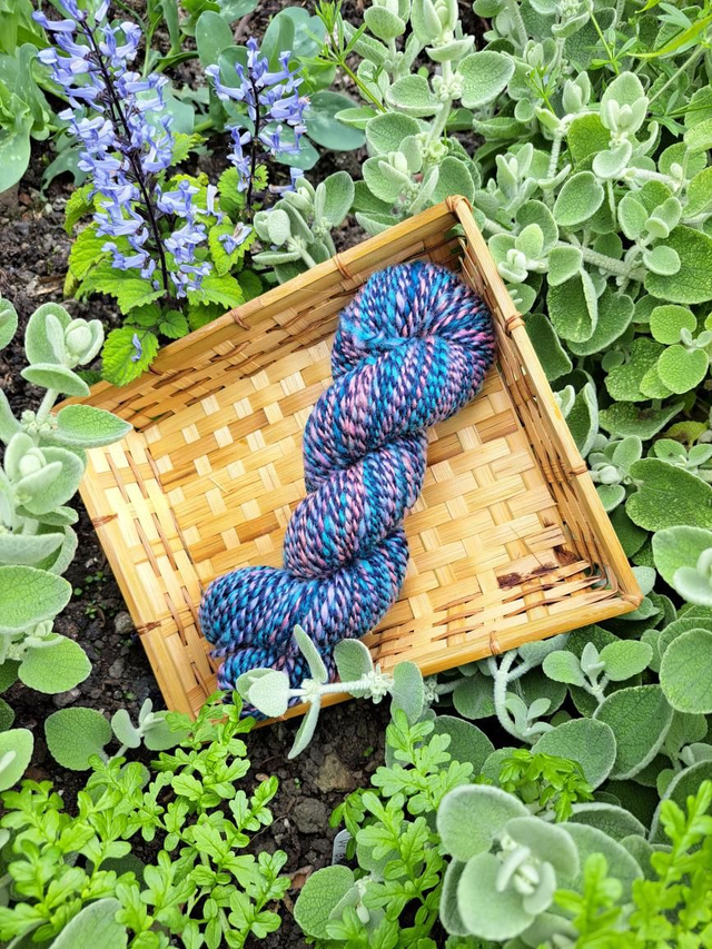  Hand dyed Dorset Down 83 grams