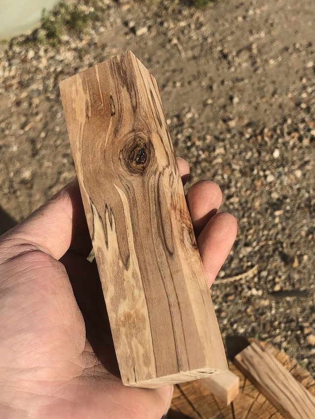 Houx partiellement échauffé