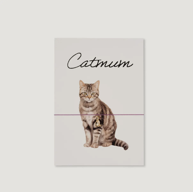 Carte et bracelet Catmum chat brun 
