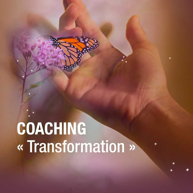 Coaching " Transformation "