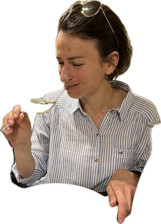 Csomag: Zsófi Kedvenc tételei 12 palack, 10%-os kedvezménnyel