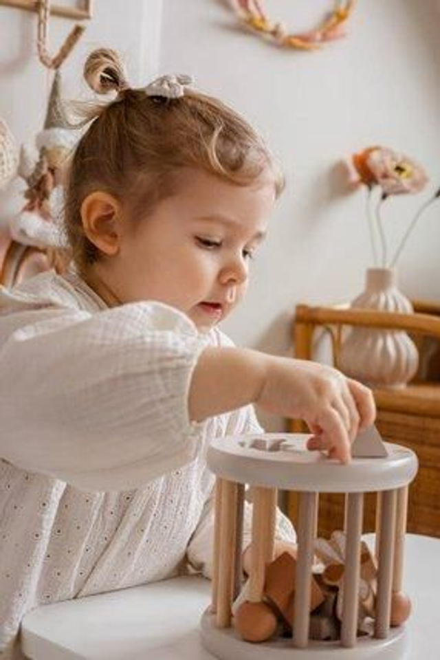 Roue trieur de formes