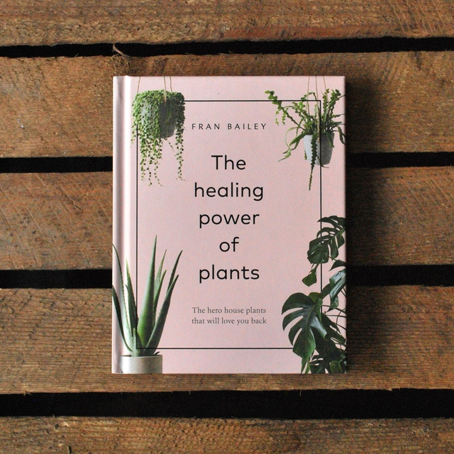 The Healing Power of Plants: The Hero House Plants that Love You Back by Fran Bailey