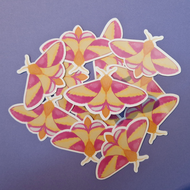 Rosy Maple Moth Sticker