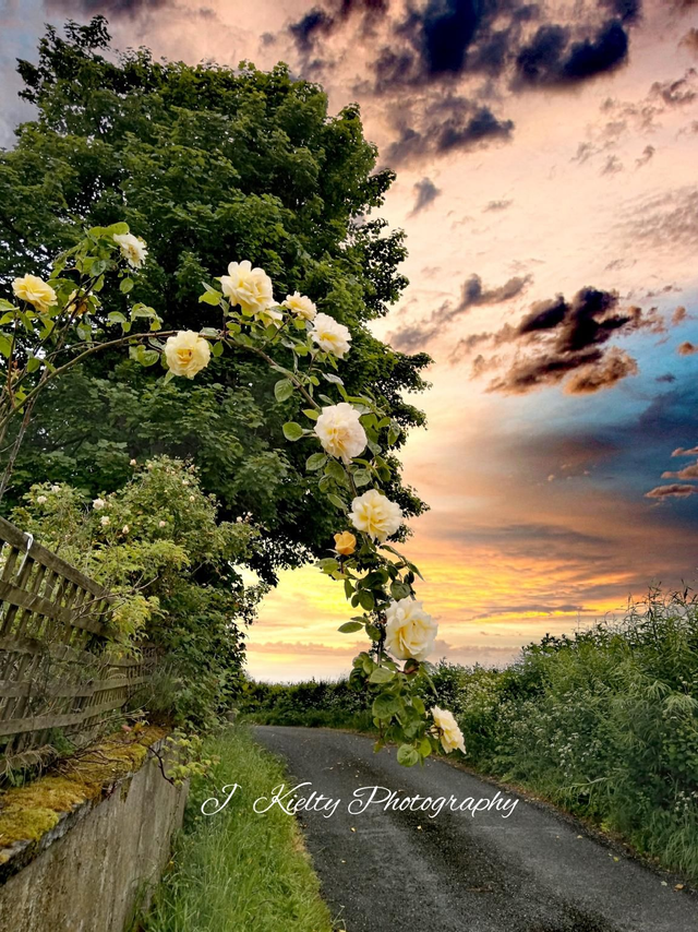 "Home Sweet Home", Ballymote, County Sligo. 