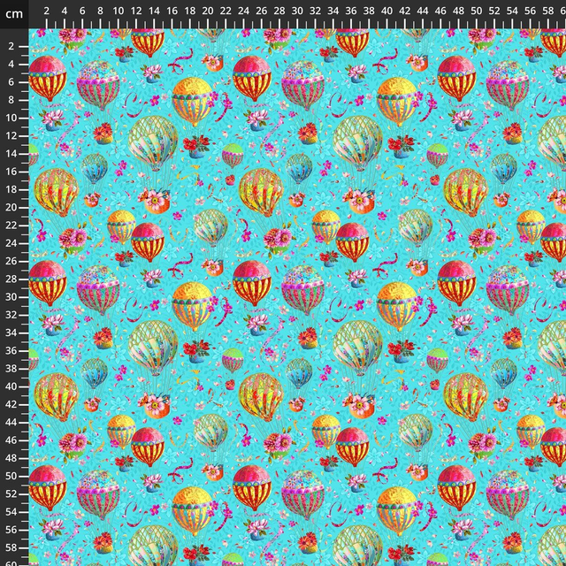 Festival Montgolfiere -Odile Bailloeul