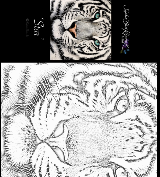 Adult Colouring Book - Close Up Designs