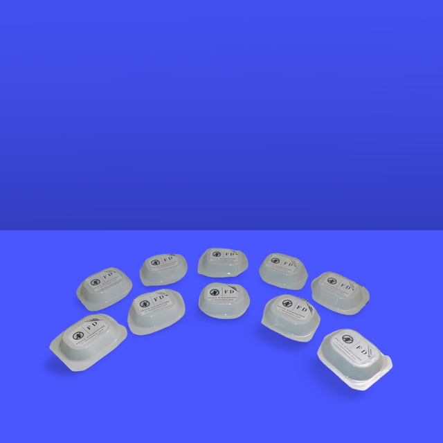 10 Pz. Esca Anti Formiche Facile Disinfestare per ambienti interni esterni fino a 150 Mq