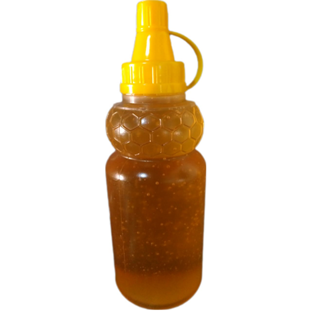 Mel de laranjeira bisnaga 514g (N0178)