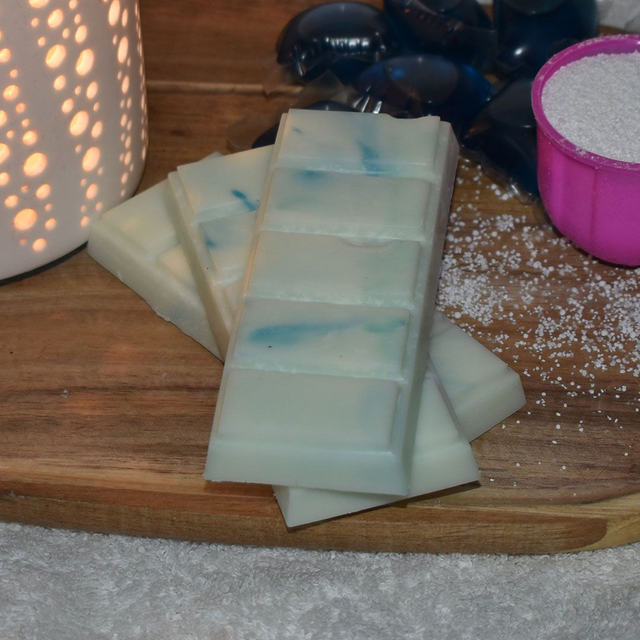 Winter Eucalyptus Snap Bar Wax Melt