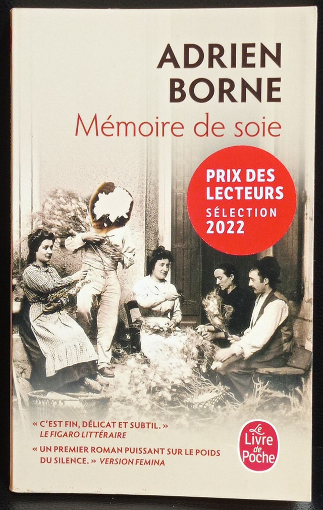 Mémoire de soie de Adrien Borne