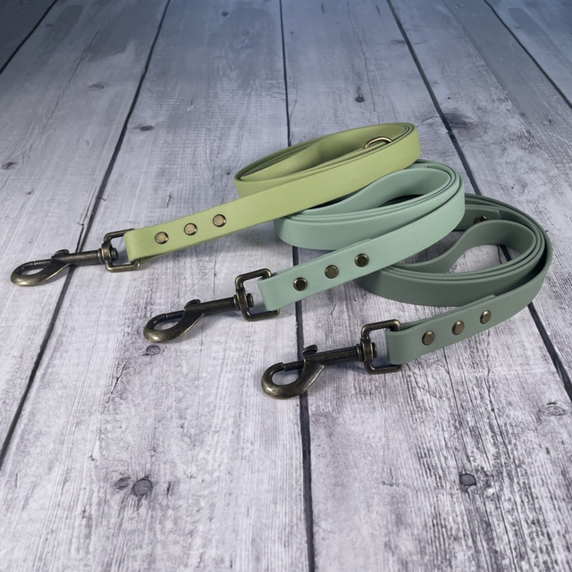 Sage Green Waterproof BioThane® Lead