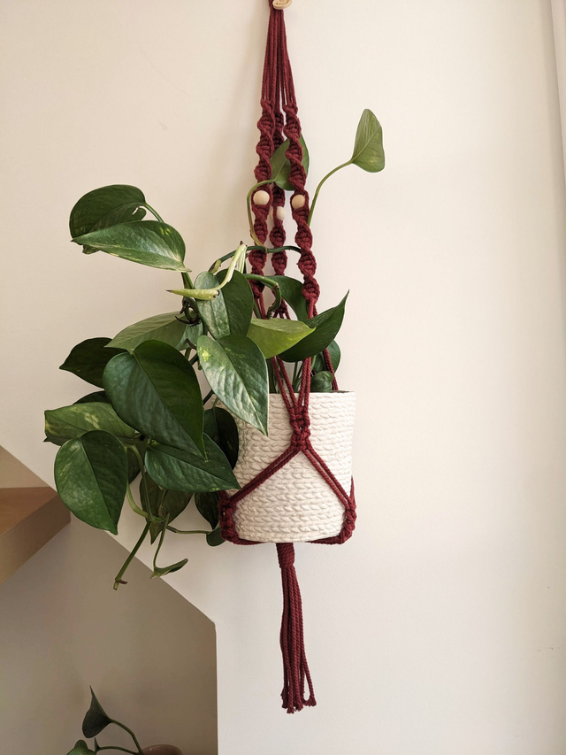 Porte-plante Aloevia