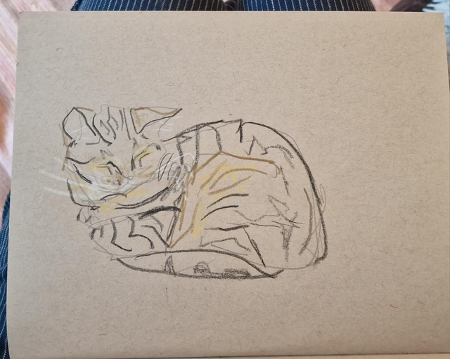 Cat drawing