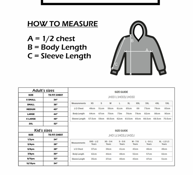 Christmas Disneyland sibling reveal box