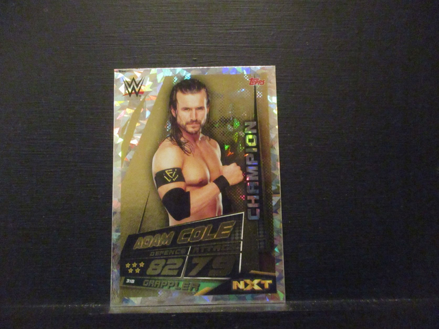Adam Cole - Champion Slam Attax Universe Original Trading Card #318