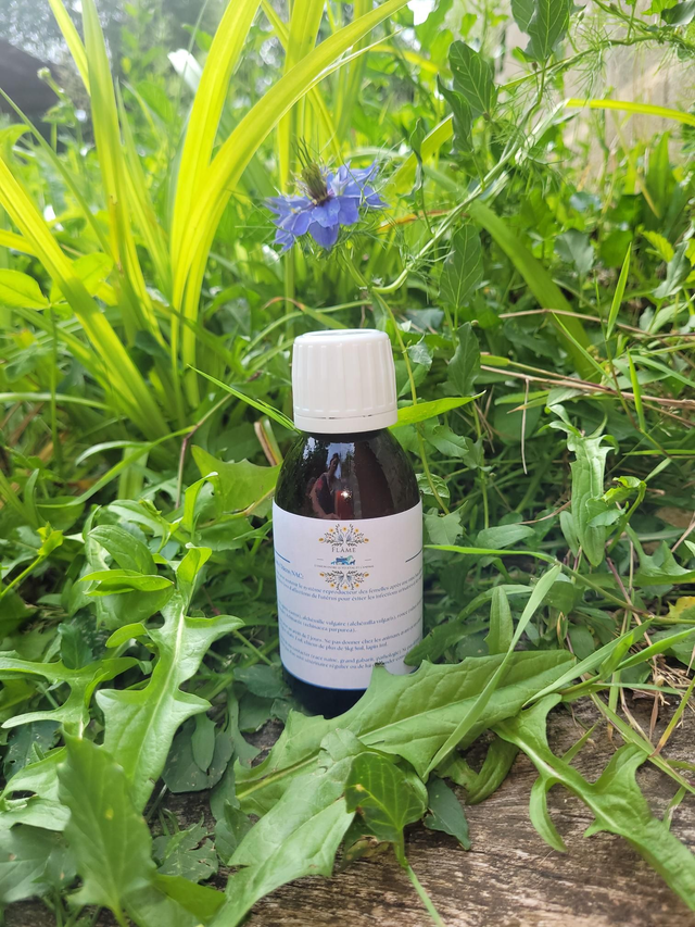 Utéro protect Chats/Chiens/NAC