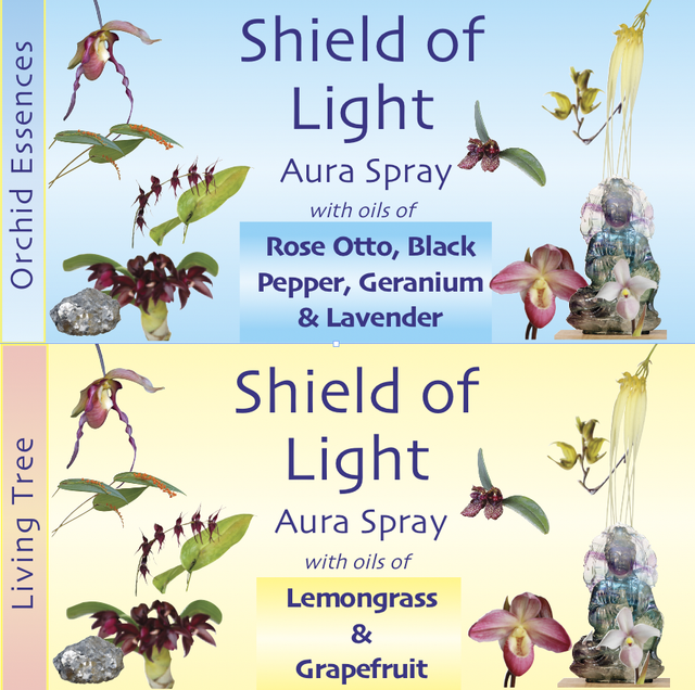 Shield of Light Aura Spray
