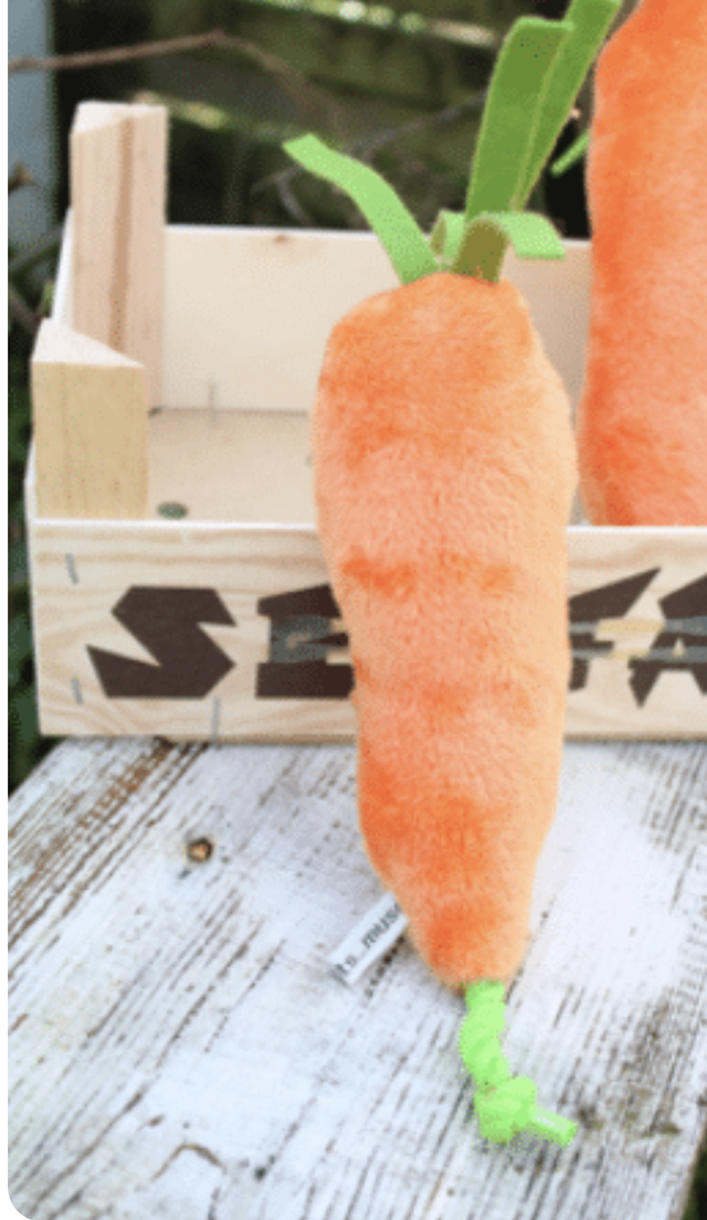 Doudou chien &quot;La carotte &quot;