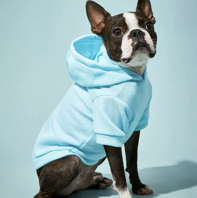 Pet hoodies blue 