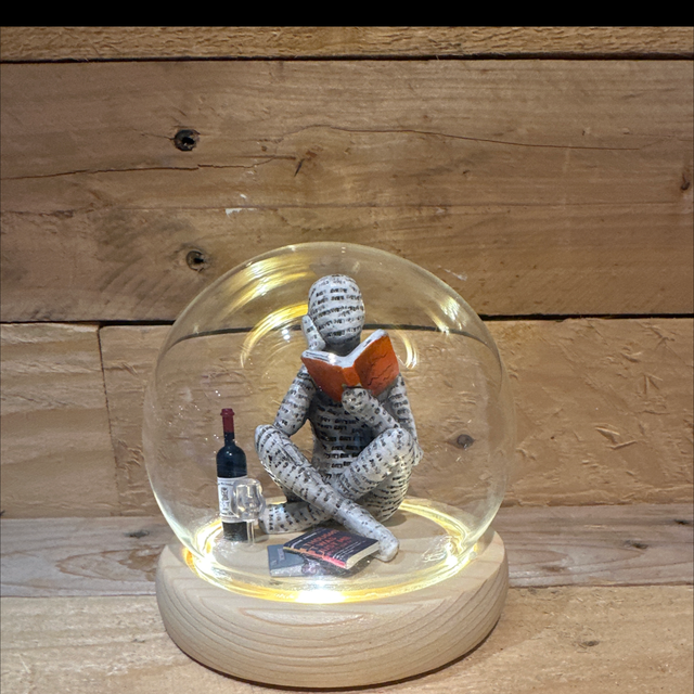 Reader Light Up Globe 