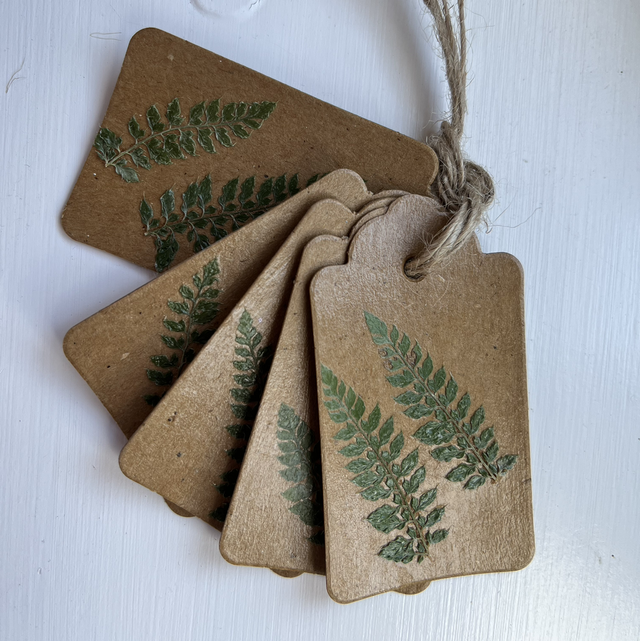 Fern Tags
