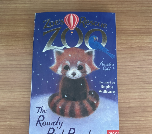 The rowdy Red panda 