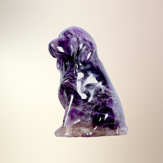 Hund - Ametyst