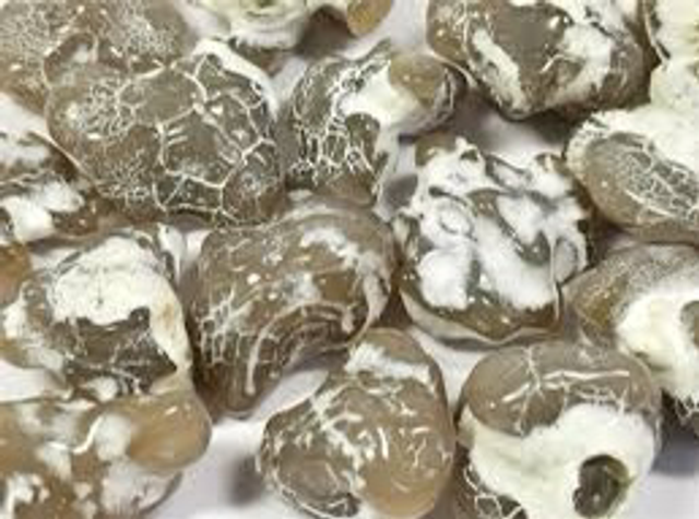 Snakeskin Agate Tumblestone