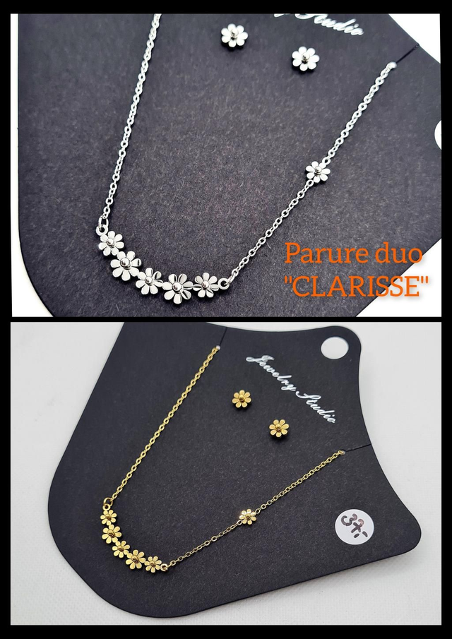 Parure duo "Barry" en acier inoxydable or ou argent (clous d'oreilles + collier assorti)