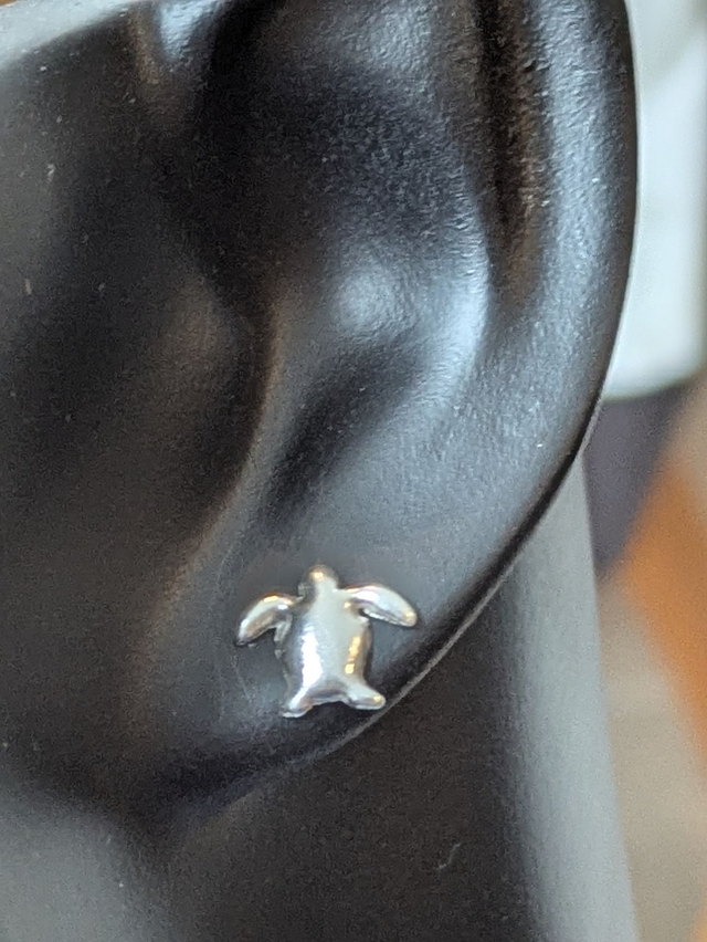 Large Turtle Earrings