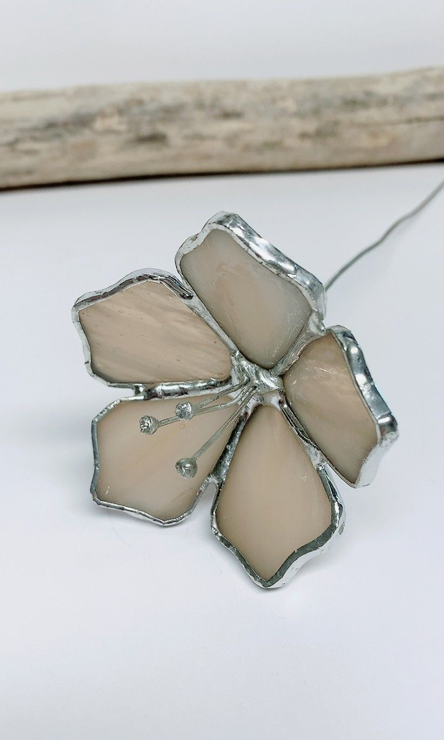 Fleurs couleur crème