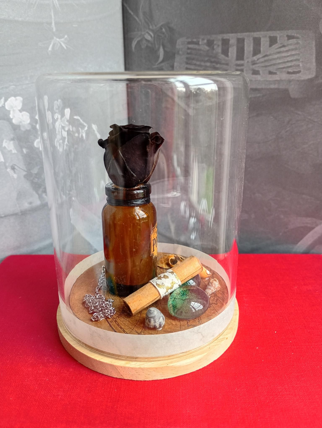 D23 Mini pirate noir