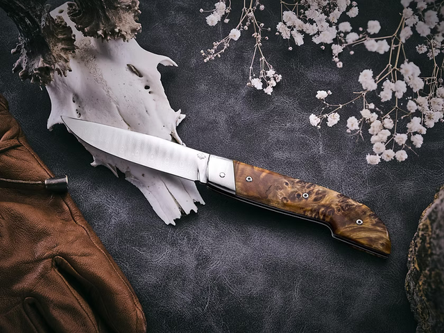 Arbec loupe de peuplier